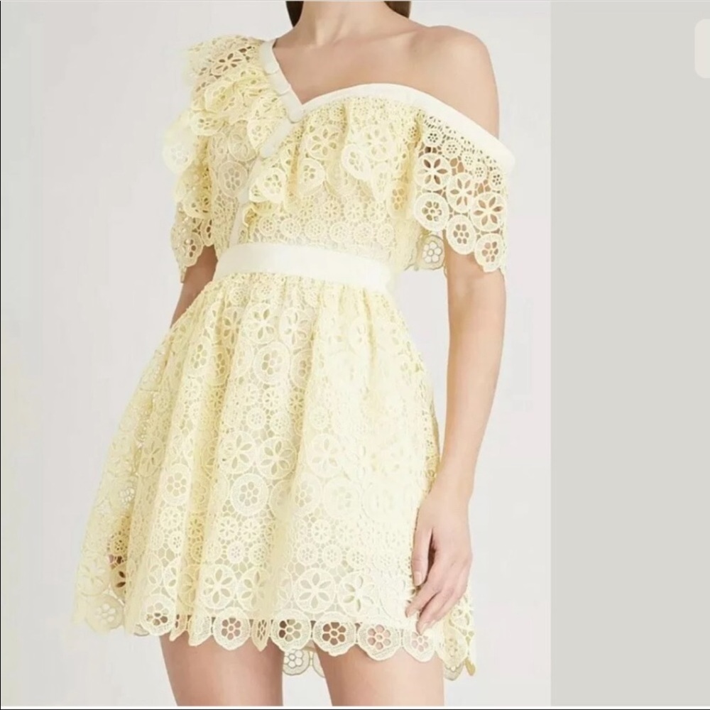 Self-Portrait Mini Dress